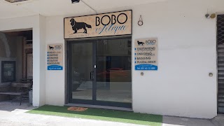 Bobo Estetique - wellness and grooming salon