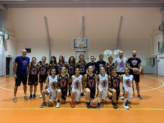 Pallacanestro Dinamo Ladispoli