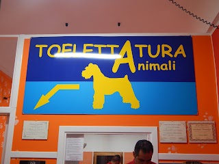 Tazmania Animali