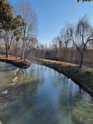 Mura di Treviso