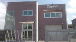 Tacchificio Caponi Srl