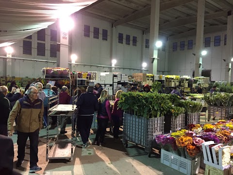 Mercato dei -fiori di -Campoverde