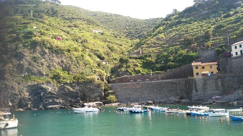 CTTours - Cinque Terre Tours - Guide turistiche Cinque Terre