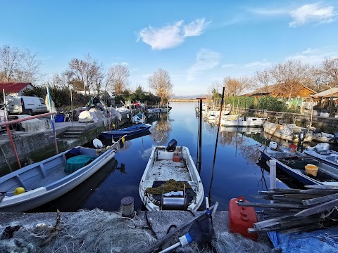 Riserva Naturale Regionale della Foce dell'Isonzo Isola della Cona