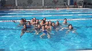 Arvalia Swimming Fitness Club Societa' Sportiva D