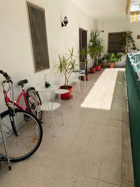 Olive Tree Hostel