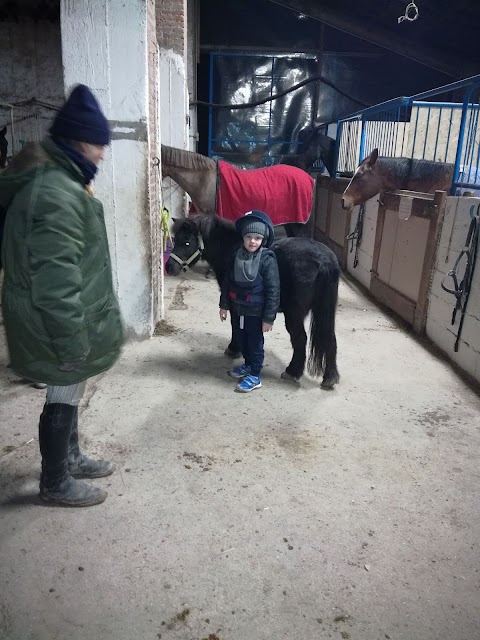 Pony Club Veronese A.S.D