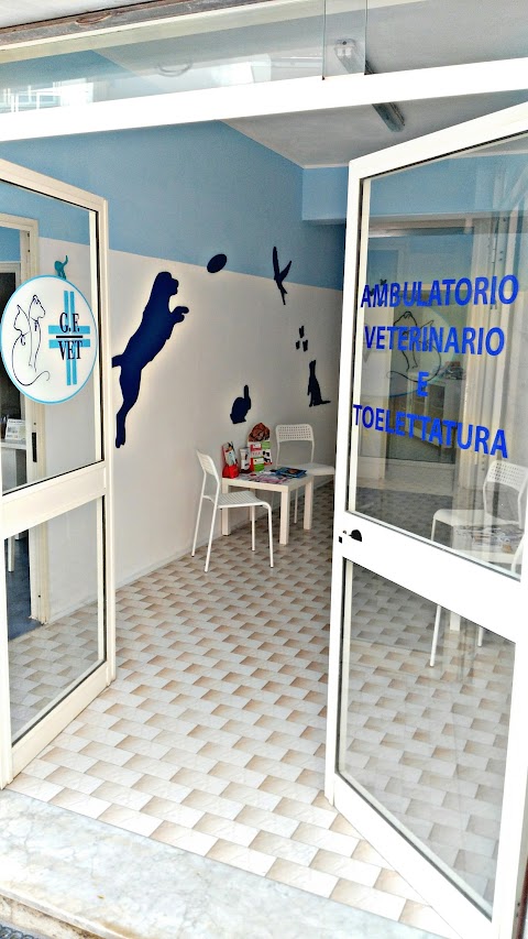 Gf Vet - Veterinario Napoli