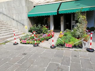 Flowers Symphony di Minniti Maria Teresa