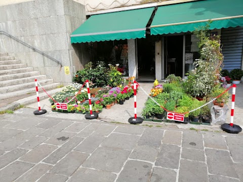 Flowers Symphony di Minniti Maria Teresa