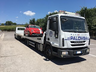 AUTOTRASPORTI PALOMBA