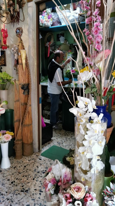 The Flower'S Shop di Raimondi Lorenzo