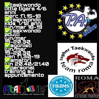 Accademia di Taekwondo e Kickboxing Master iagher Sporting Village