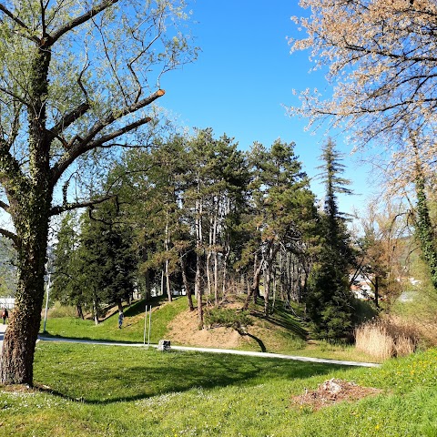 Park "Borov Gozdiček" "Borovci"