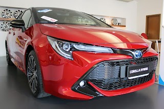 Toyota Motor City Ostia