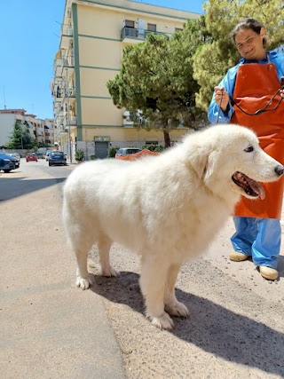 SANI E BELLI di Agnese Sasso