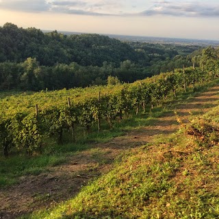 Azienda Vitivinicola Casa Lucia