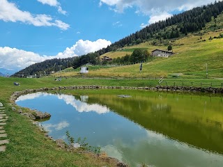 Partenza per il Sentiero del Bosco Incantato