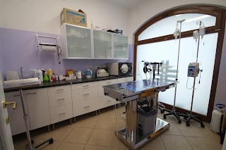 Ambulatorio Veterinario Barion Lara