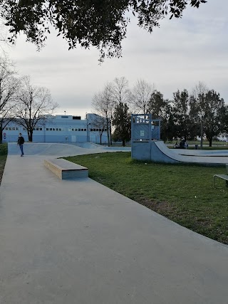 Snakerun Skatepark Lugo
