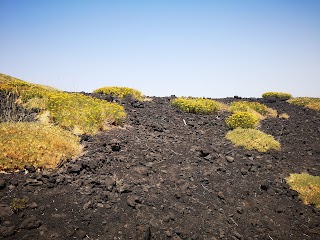 Etna Mobility