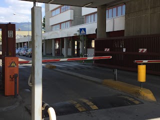 Cam Autotrasporti Refrigerati Firenze