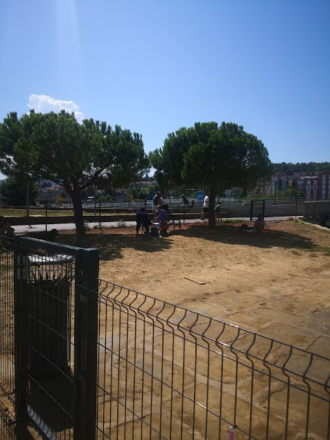 Spiaggia per cani