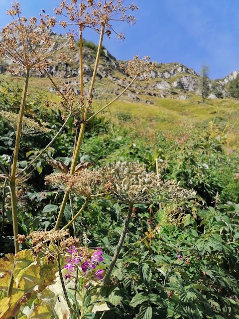 Valle del Silenzio