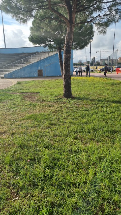 cittadella dello sport, piscina