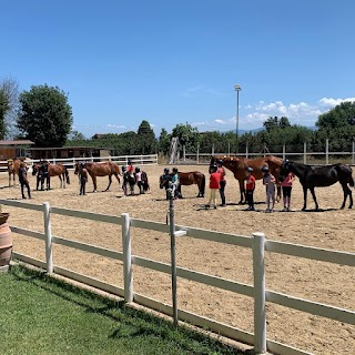 G&C Horse Farm