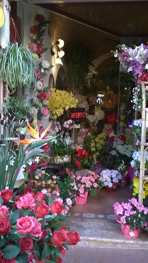 La Boutique Del Fiore Di Agostinetto Alessandro