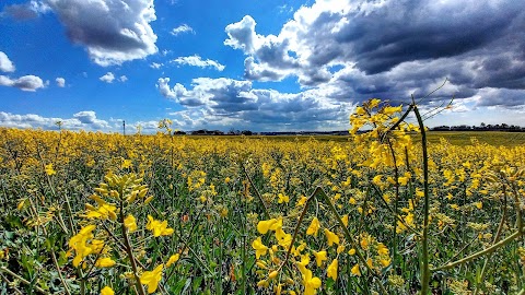 Azienda Agricola Biologica Orto di Fabiana