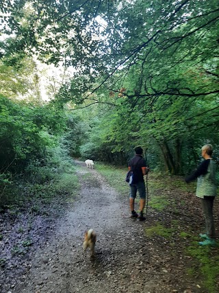 La casa del dog trekking