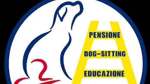 Dog-sitting Verona