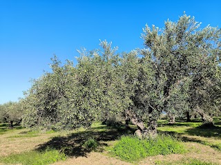 Antico Frantoio Vallone