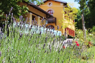 Il Posto Delle Fragole