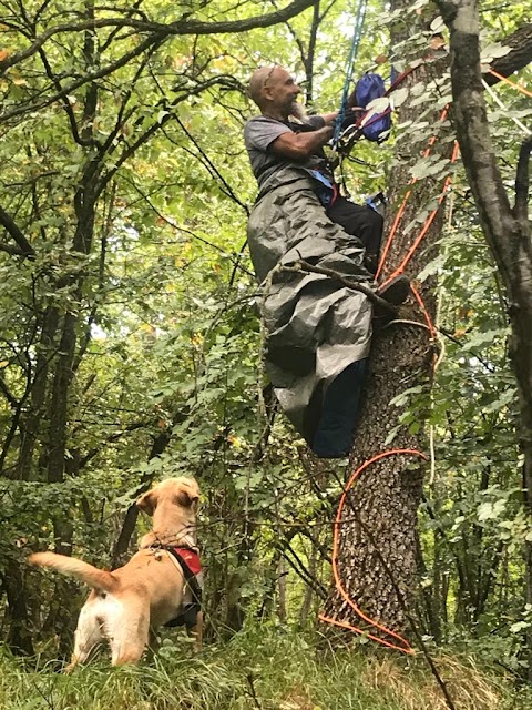 Pensione per Cani Arcobaleno Bologna