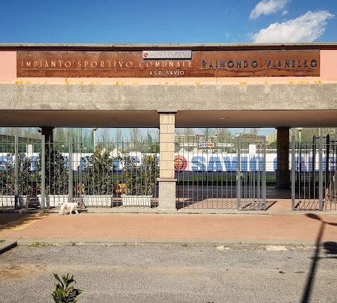 Associazione Sportiva Dilettantistica Savio Calcio