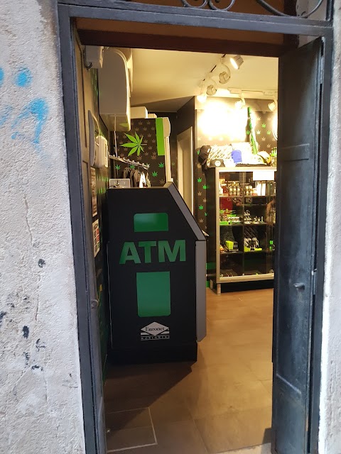 Cannabis Store Amsterdam Venezia