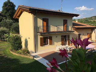 B&B La Bella Vigna