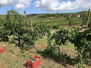 Agriturismo Fontepetrini Di Vittorio Rogantini