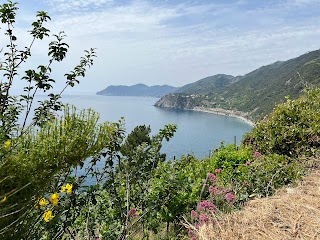 Enjoy Cinque Terre Boat Tours