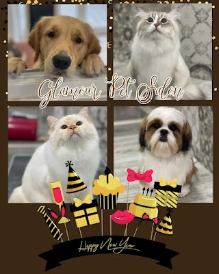 Glamour Pet Salon - Toeletta Cani e Gatti San Giovanni