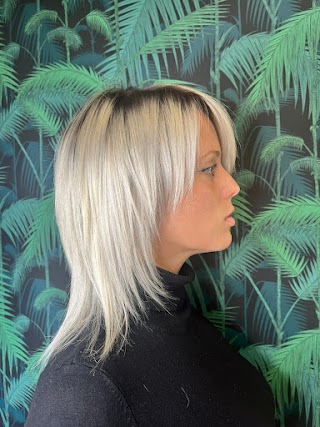 Modamia Balayage & Blonde Specialist