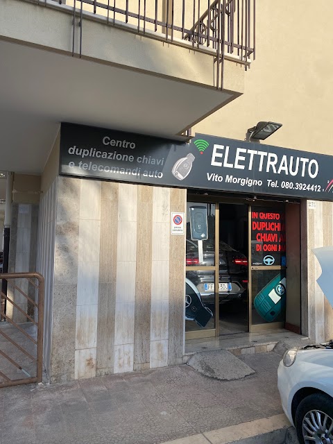 Elettrauto ELAB SPORT di Morgigno Vito - Bisceglie