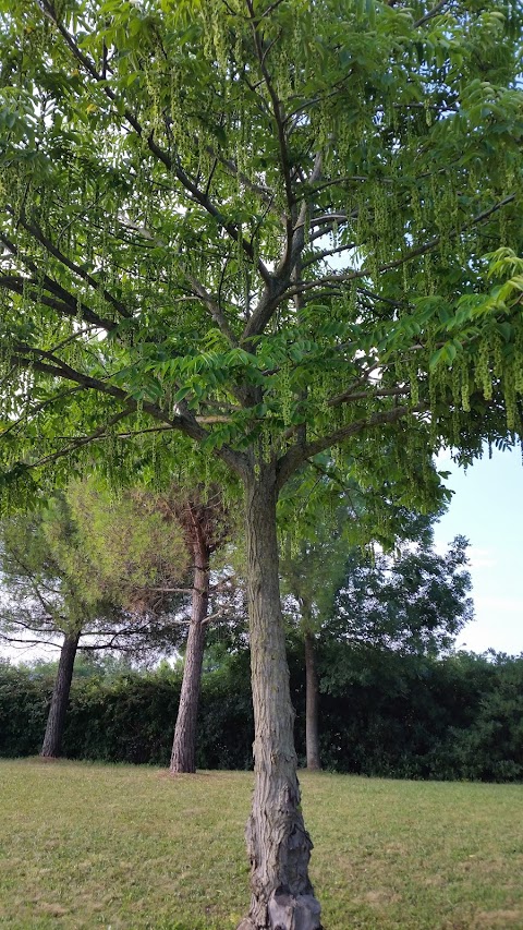 Parco Pubblico Venezia Giulia