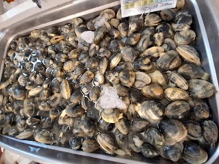 Pescheria cuore di mare