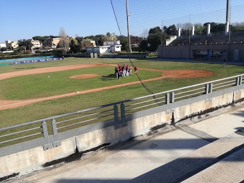 Polisportiva Anzio Baseball