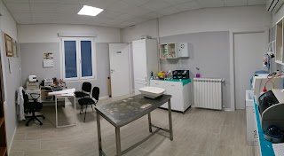 Studio Veterinario Dr. Bertoni Nicola