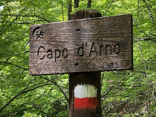 Capo D'Arno - Sorgente dell'Arno